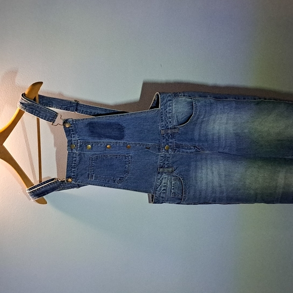 Life in Progress Distressed Denim Overalls - Picture 2 of 8